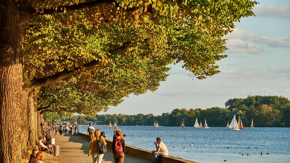 Best Riverside Paths for a Quiet Morning Stroll