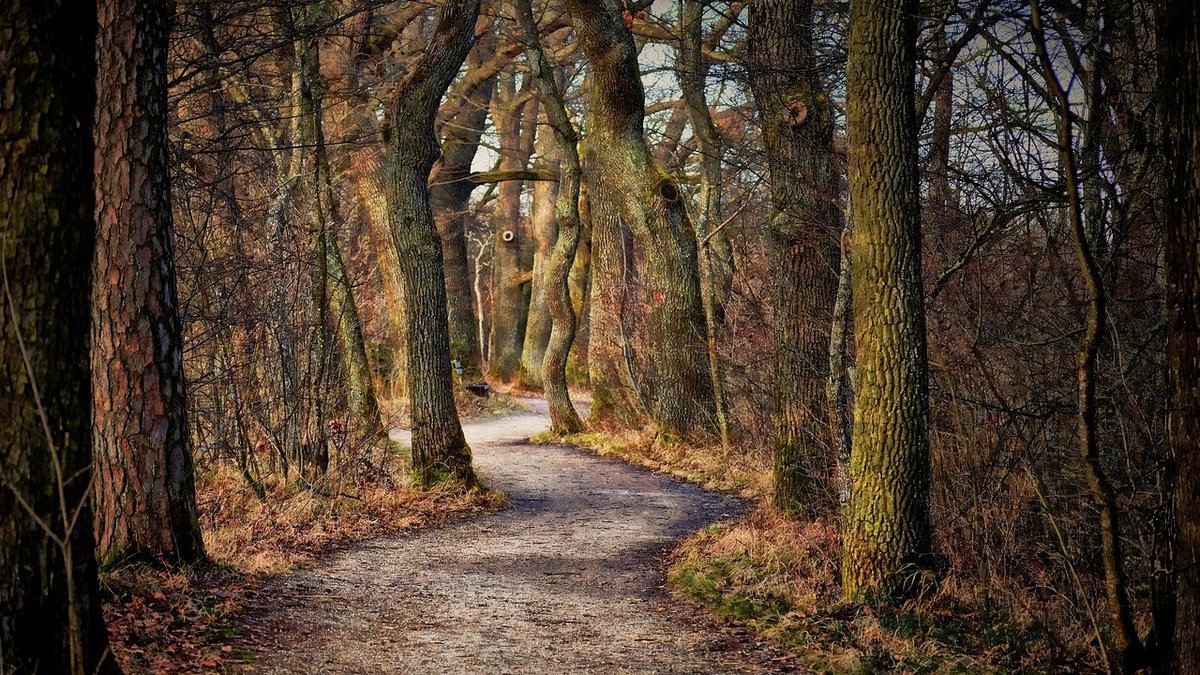 Buggy-Friendly Paths for Young Families to Enjoy